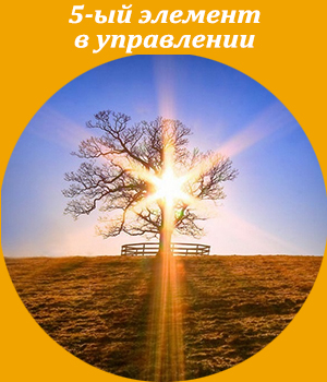 5-ый элемент в управлении, обучение, тренинг