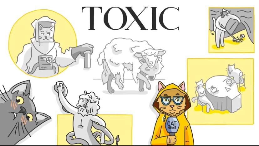 Zolushka Toxic